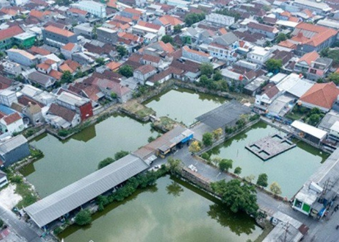 Inovasi BRILink dan Peningkatan Inklusi Keuangan di Desa Sukomulyo Gresik