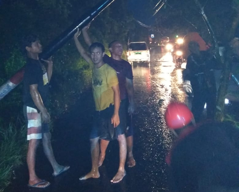 Hujan Deras, Pohon Tumbang Hambat Lalu Lintas
