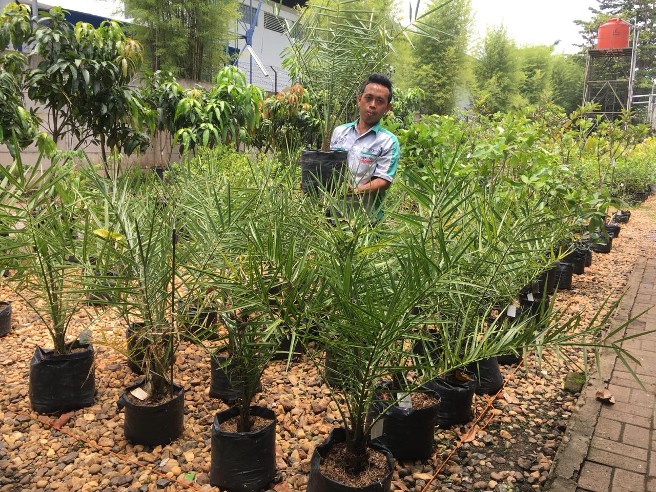 Trubus Gulirkan Diskon Khusus Maret