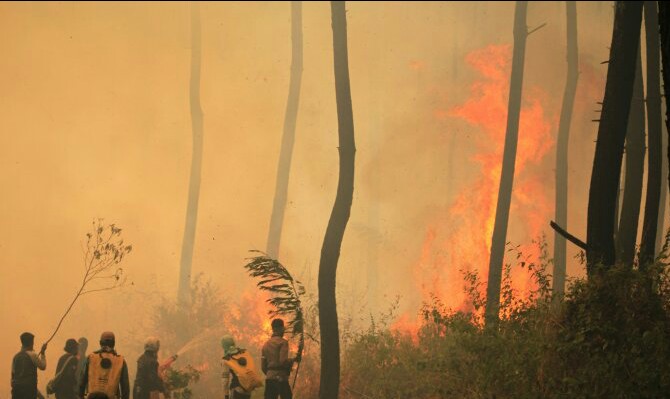 178 Titik Panas Kepung Wilayah Sumatera