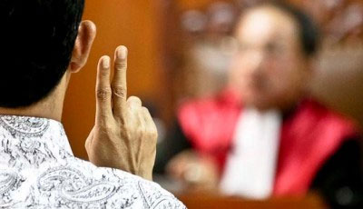 Terbukti Lakukan Pembalakan Liar, Delapan Terdakwa Divonis Berbeda