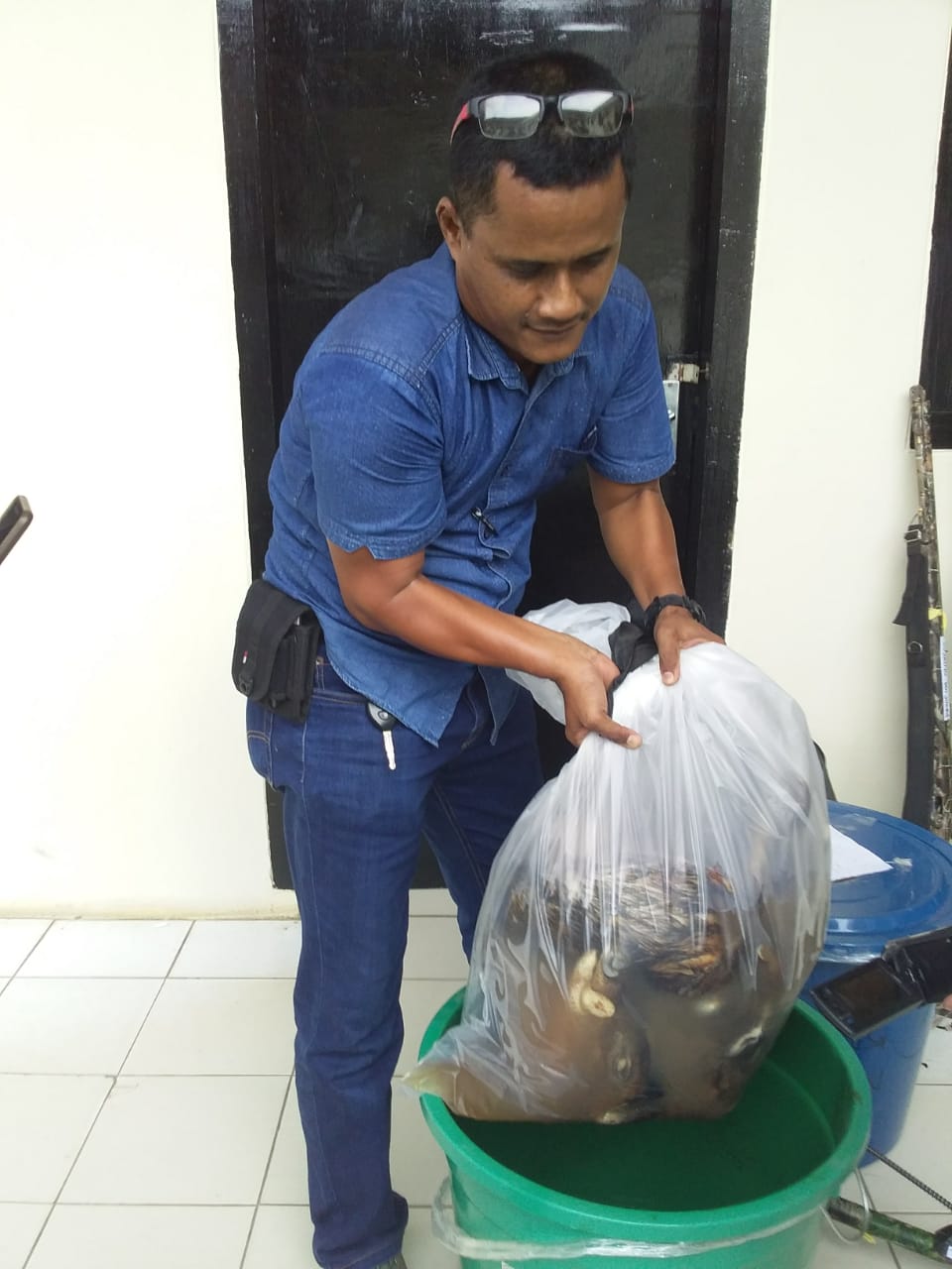 Pemburu Liar TNWK Beli Senapan Via Online