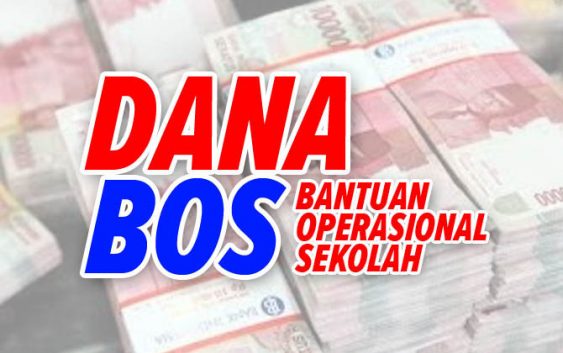 Dinilai Tak Tertib Kelola Dana BOS, Ini Langkah Disdik Pesawaran