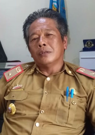 Kemarau, Stok Padi di Pesbar Masih Aman