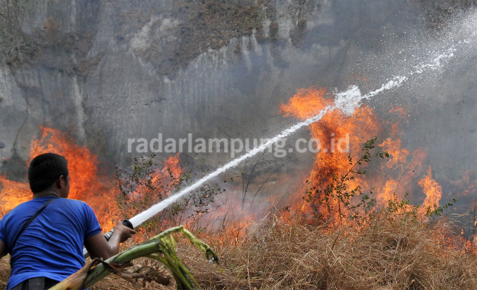 Kebakaran Lahan Dominasi Kasus yang Ditangani BPBD