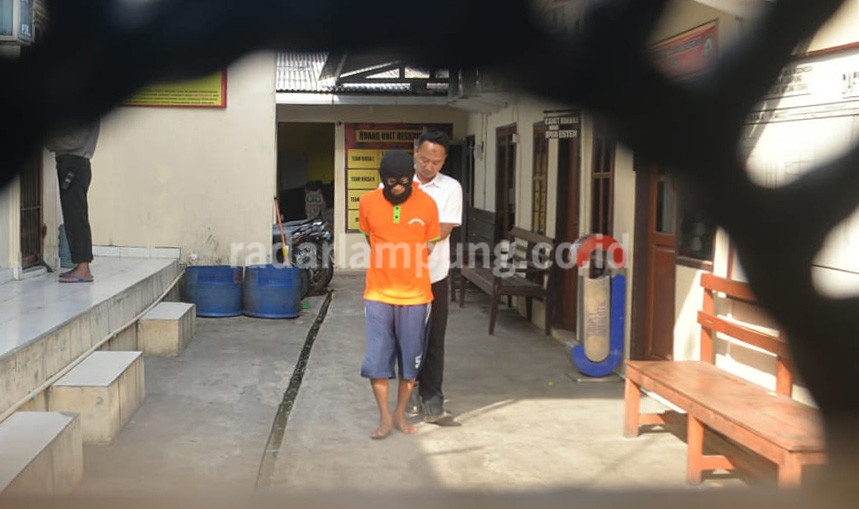 Pembawa Ratusan “Teddy Bear” Ditangkap Polisi