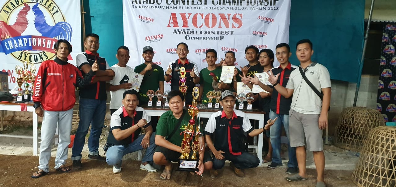 Tim KOAR  Kotaagung Rooster Pertahankan Gelar Raja KO Dalam Aycons 6