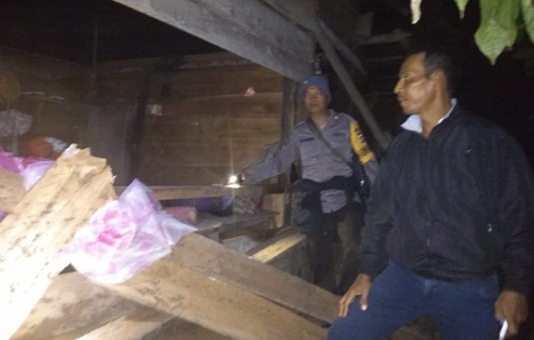 Gawat, Gajah Masuk Pemukiman, Rusak Lima Rumah dan Gubuk