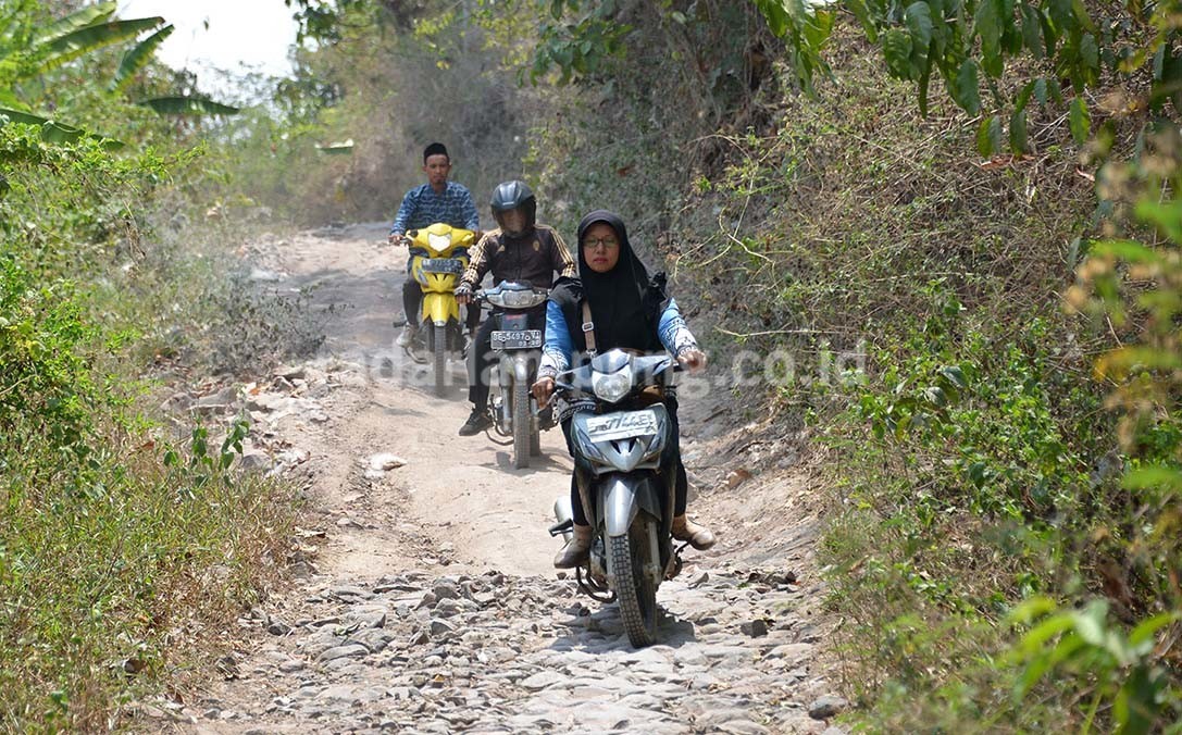 Tahun Depan, 600 Guru Honor di Lambar Bakal Terima Insentif