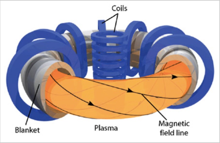 Fusion Energy