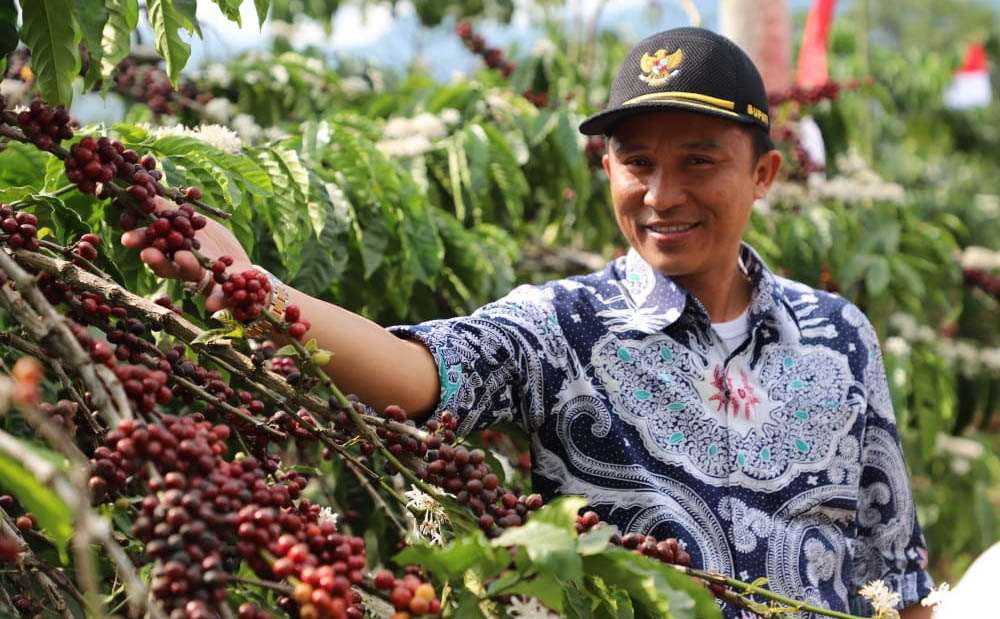 Tujuh Sampel Kopi Lambar Masuk Top 10 Apresiasi Kopi Robusta II 2020