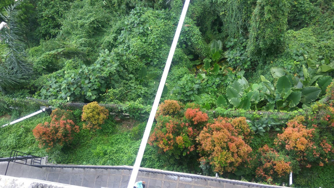 Takut Longsor, Pelanggan Enggan Menginap Di Hotel Bukit Randu