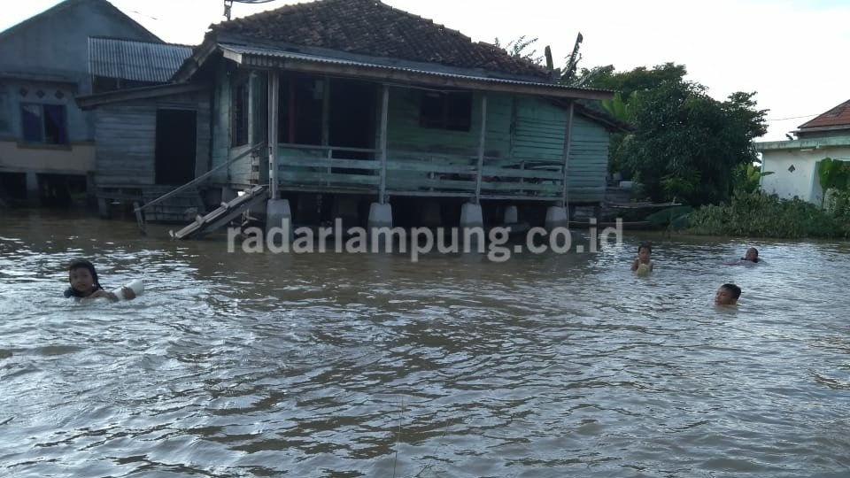 Way Tuba Meluap, 658 Rumah Terdampak Banjir