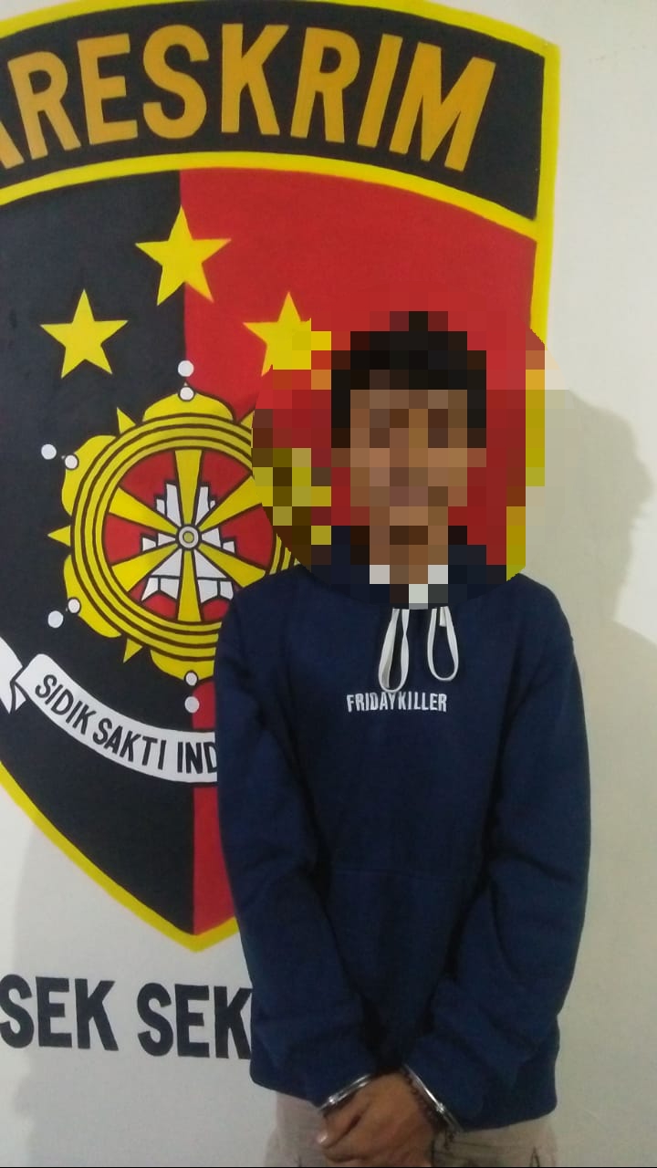 Miliki Ganja, Mahasiswa Diamankan Polsek Sekampung