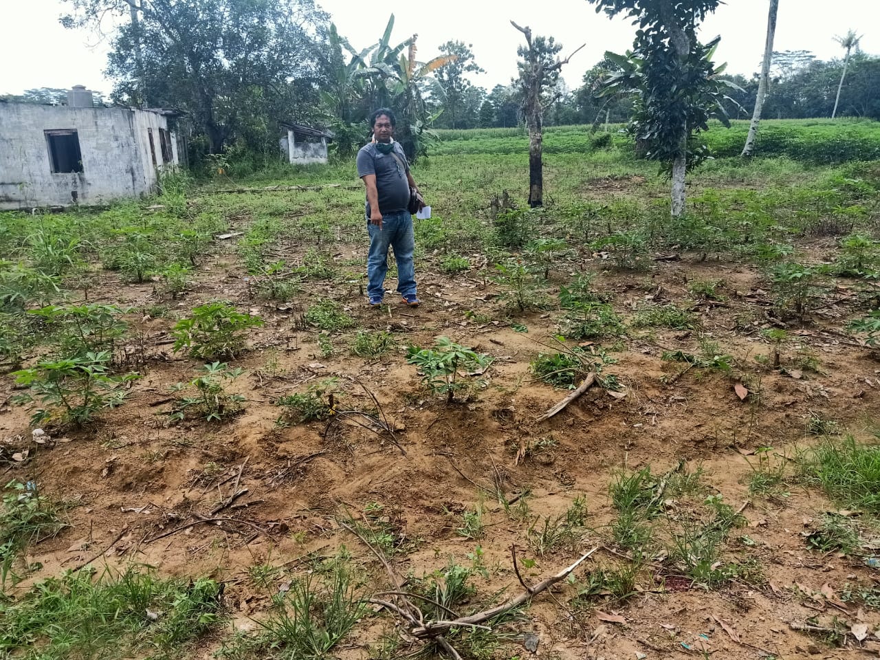 Pria Setangah Abad Tewas dengan Enam Luka Sayatan Sabit