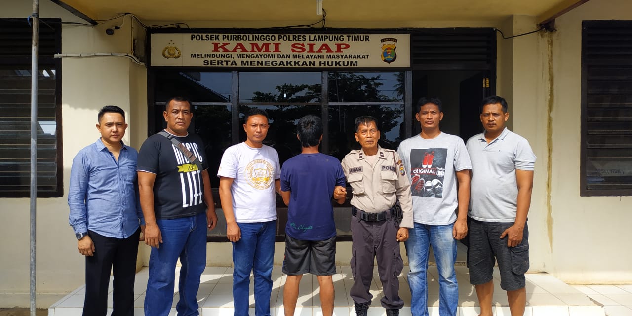 Curi Sapi, Nasib Pria Ini Berujung di Bui
