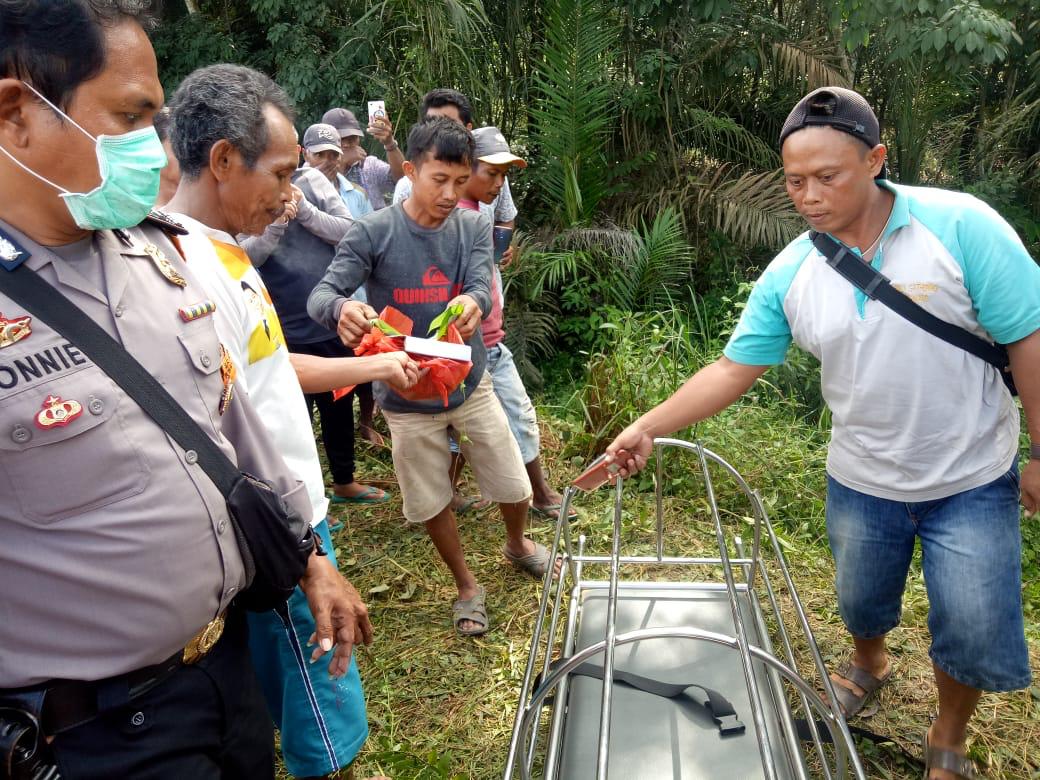 Lagi Cari Rumput, Petani Ini Kaget Temukan Janin Bayi