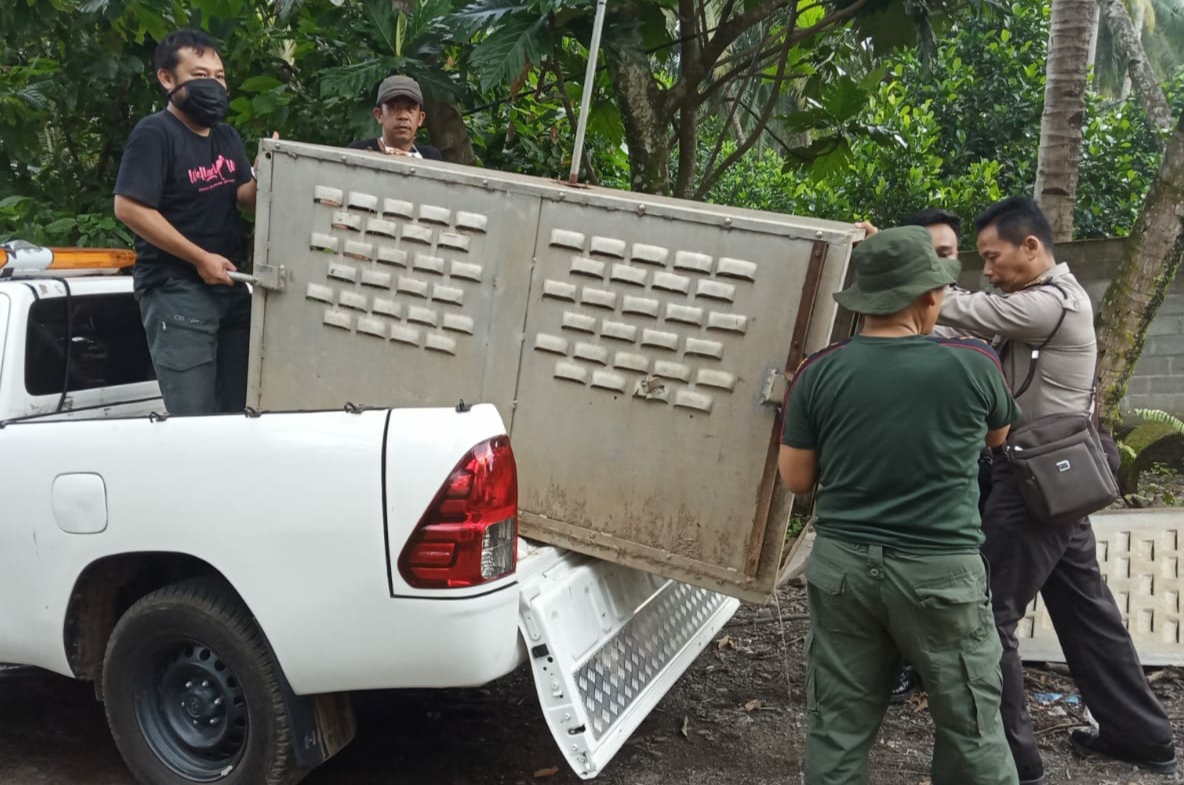 Arus Sungai Deras, Perangkap Buaya Diangkat