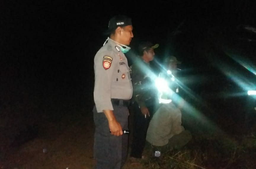 Kawanan Gajah Hendak \