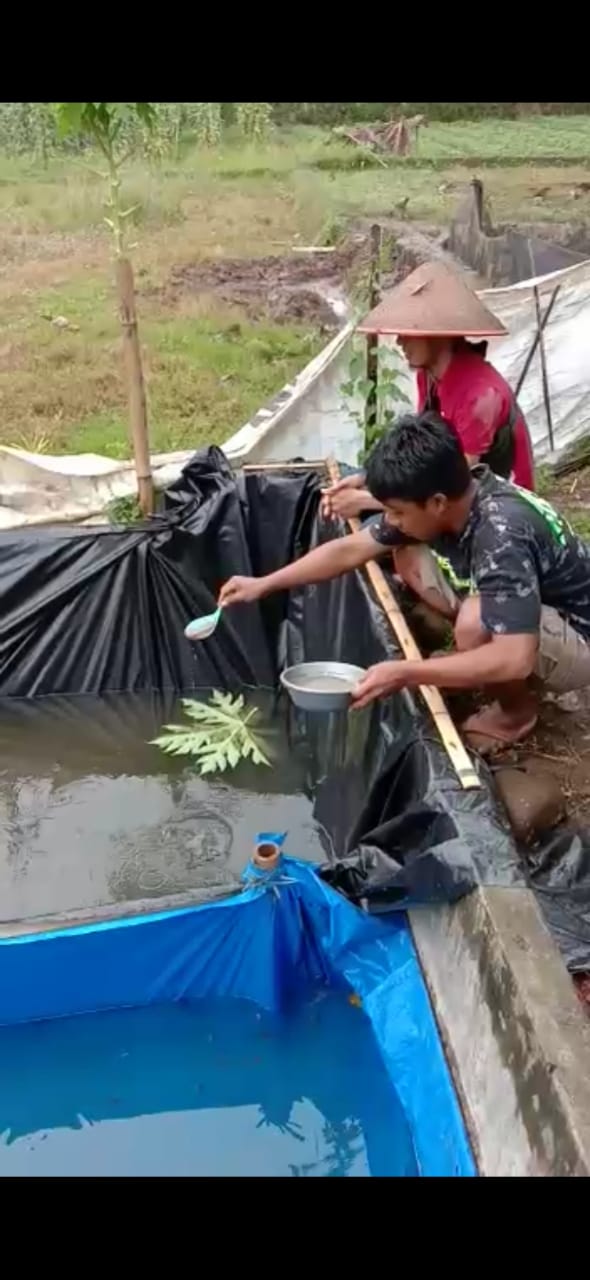Mantan Narapidana Asimilasi Lapas Kalianda Sukses Ternak Lele