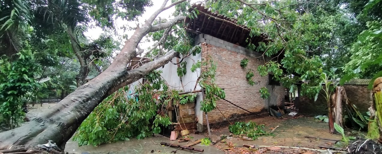 Satu Warga Tewas, 3 Luka Berat, Puluhan Rumah Ambruk