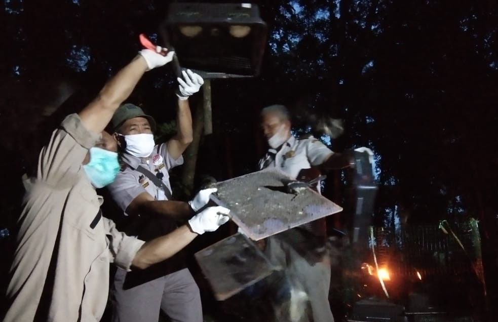 Ratusan Burung Kacer Selundupan Dilepasliarkan