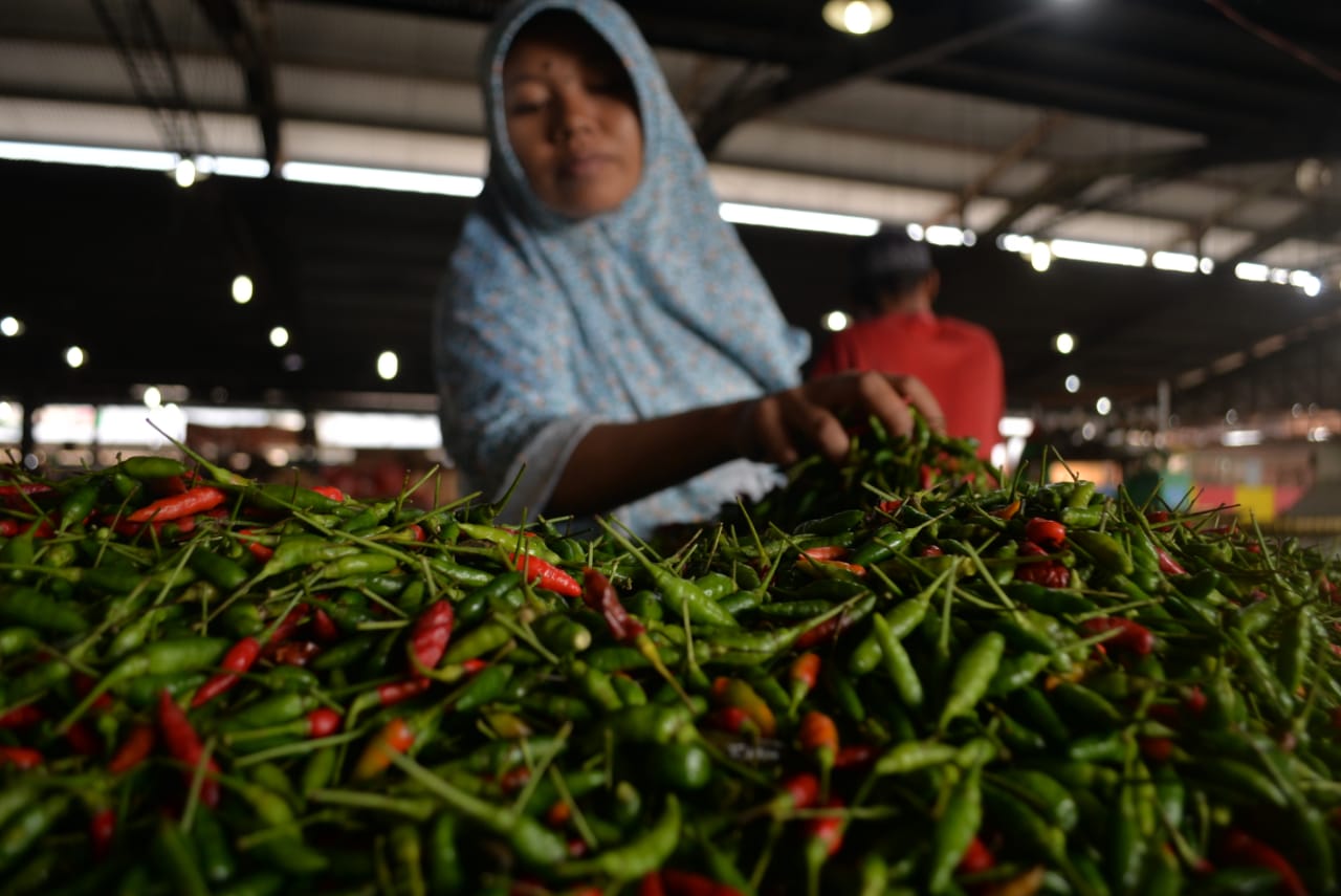 Awal Tahun Harga Cabai Rawit di Mesuji Semakin Pedas