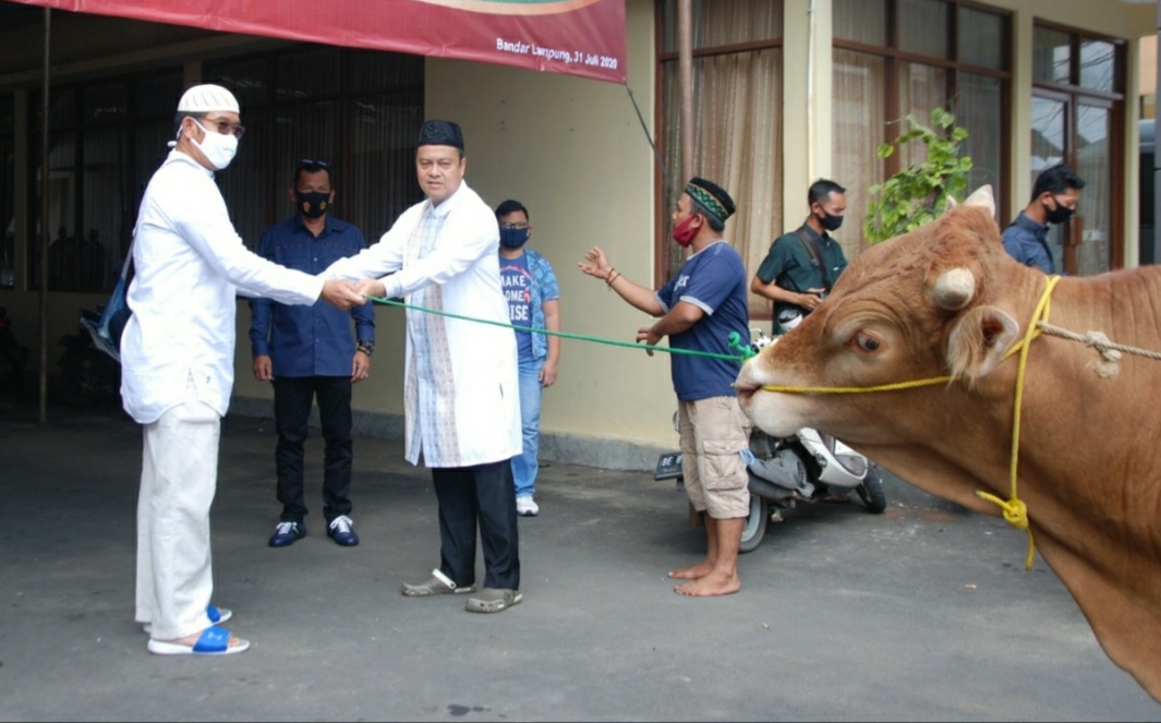 Semoga Berkah, Polresta Bandarlampung Kurban Lima Sapi