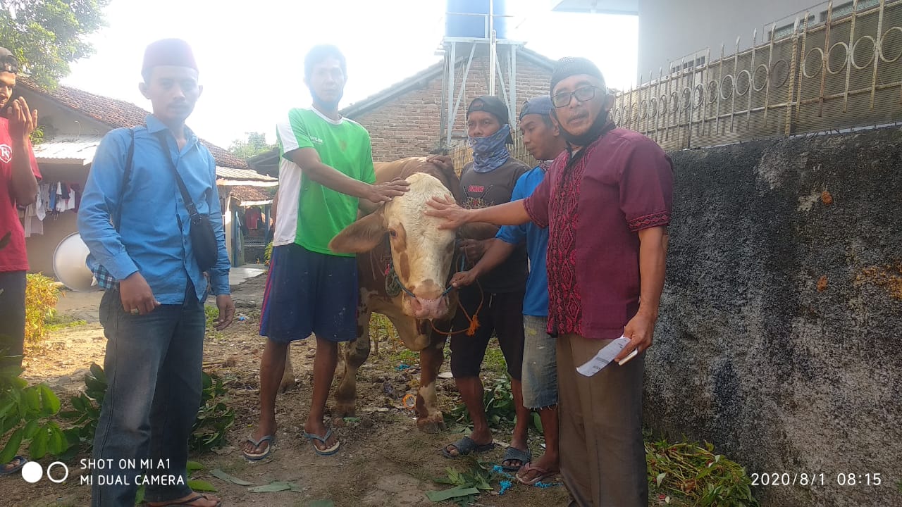 Terapkan Protokol Kesehatan, Masjid Al Yaqin Tanjung Raya Potong Herwan Kurban