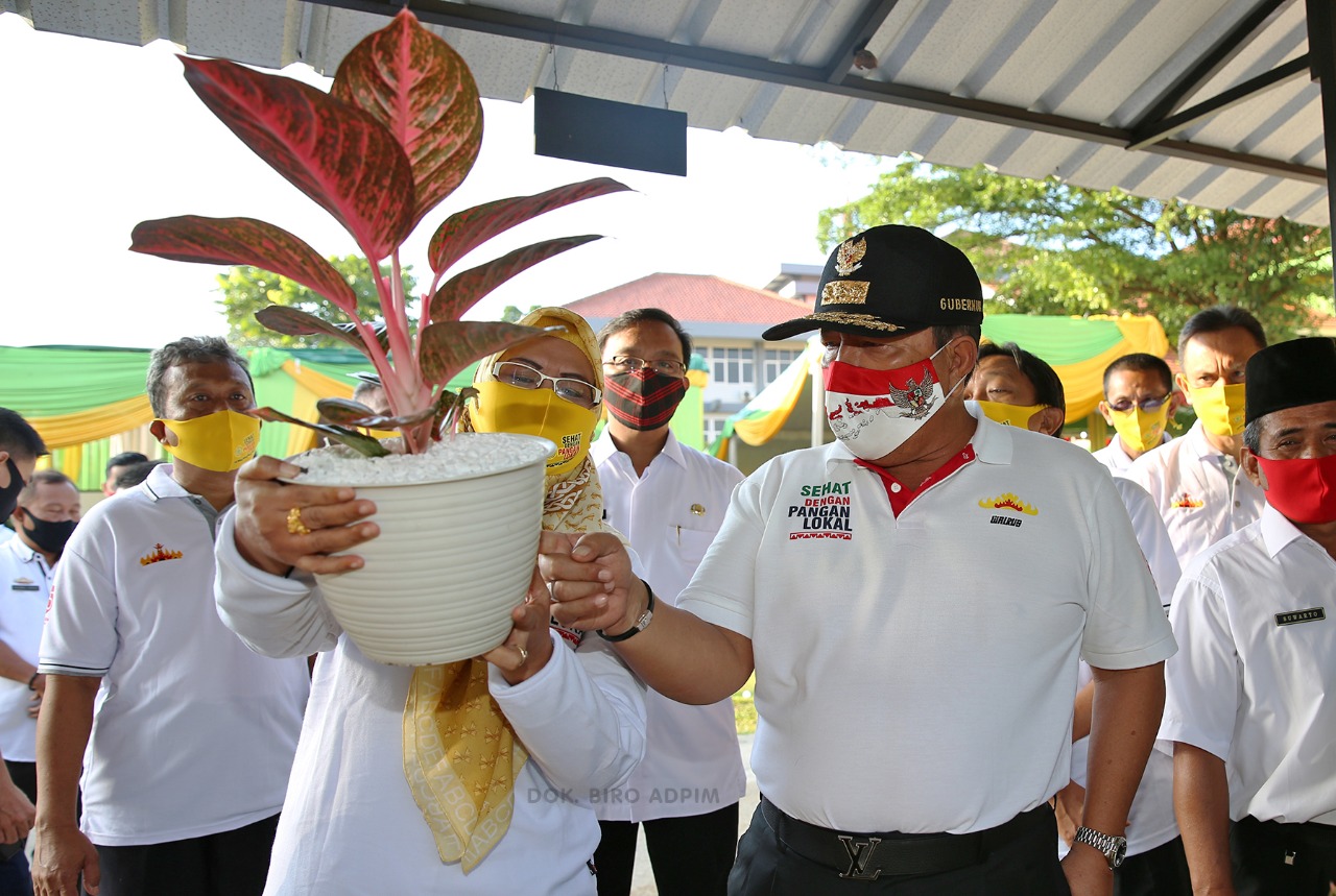 Gubernur Lampung Canangkan Gerakan Diversifikasi Pangan dan Ekspos UMKM Pangan Lokal