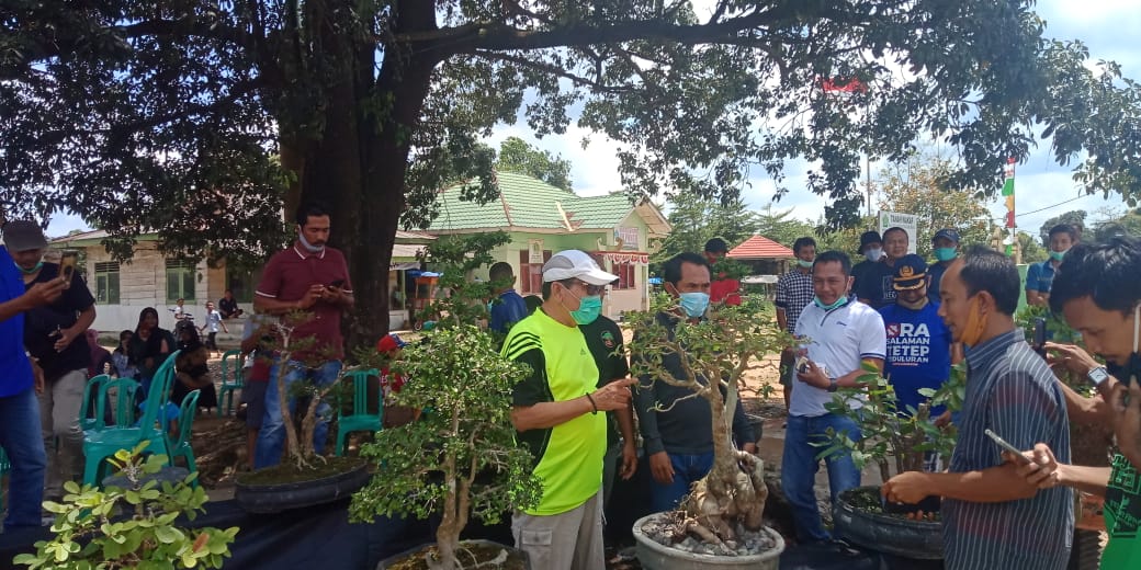 Tinjau Acara Komunitas Bonsai, Ini Pesan Bupati Mesuji