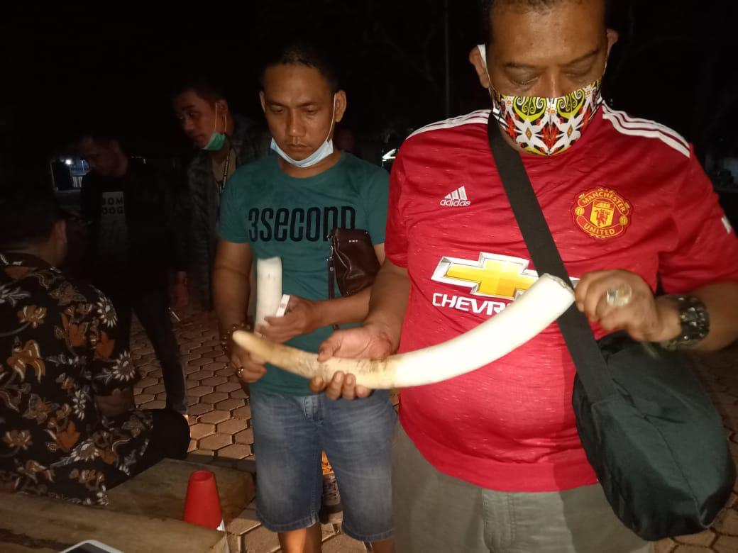 Kasus Penjualan Gading Gajah, Pelaku Bagi Peran, Patok Harga Rp90 Juta