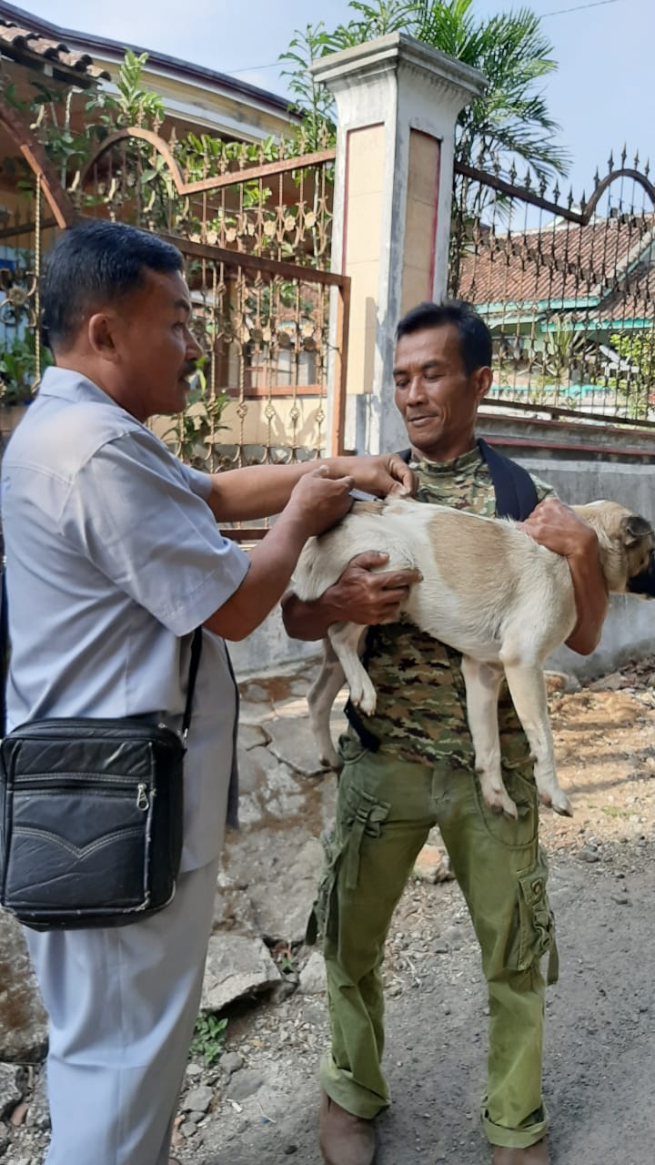 Disbunak Tangggamus Tunggu Vaksin Rabies Dari Provinsi
