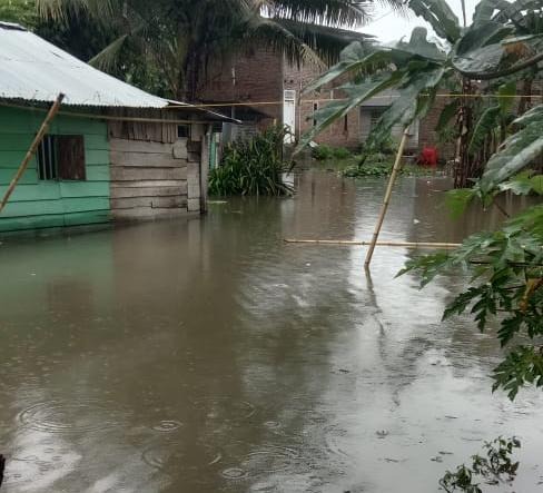 Ratusan Rumah di Pasar Kota Krui Terendam Banjir