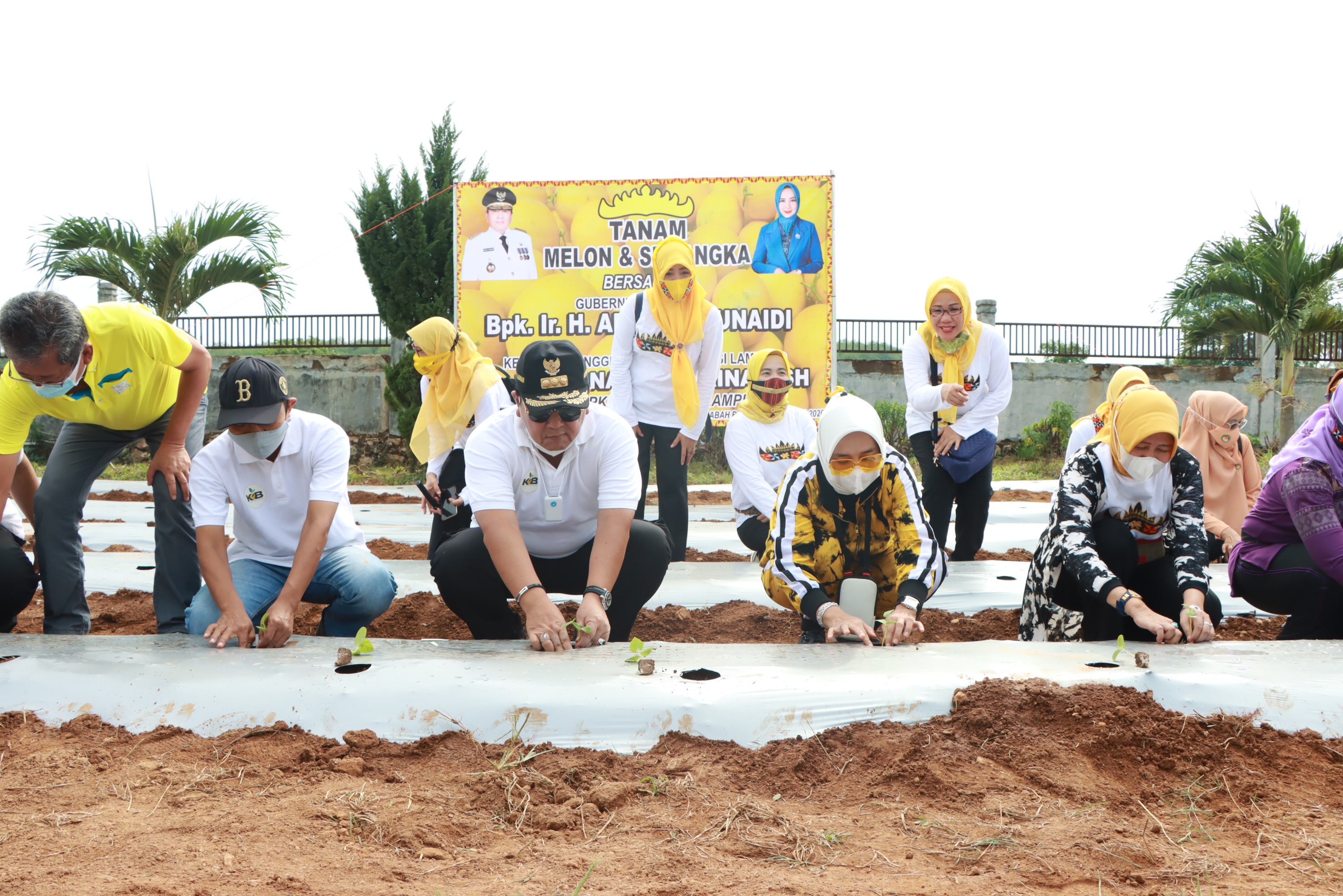 Gubernur Lampung Dorong Pengembangan PKK Agropark