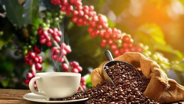 Sekolah Kopi Lambar Diresmikan Desember 2020