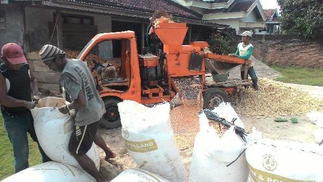 Sasaran Tanam Jagung Lamtim MT 2020/2021 17.966 Ha