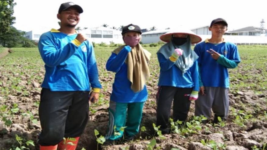 Program Studi Produksi Tanaman Pangan Memulai Kegiatan PKL di Teaching Farm