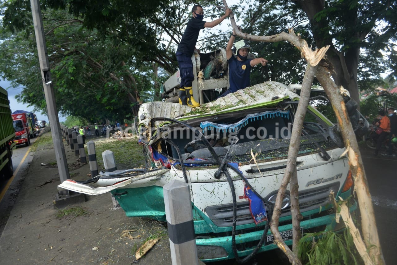Angin Kencang, Pohon Menimpa Satu Truk