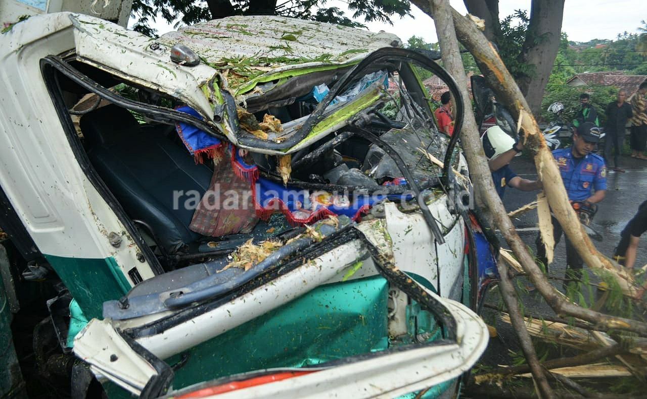 Truk Tertimpa Pohon, Satu Orang Luka-luka