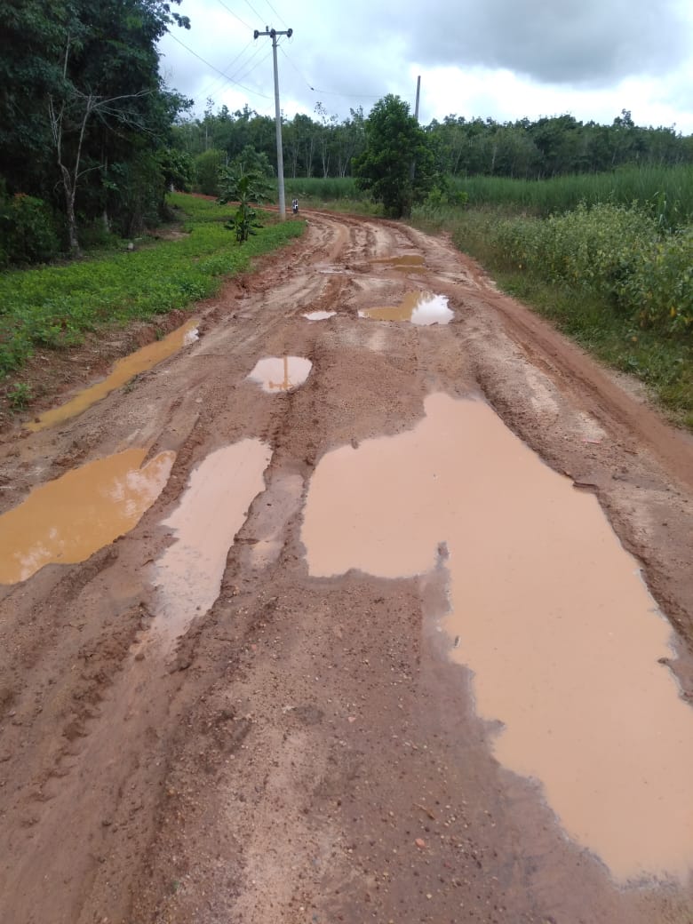 Penampakan Jalan Rusak ke Kampung Karang Agung