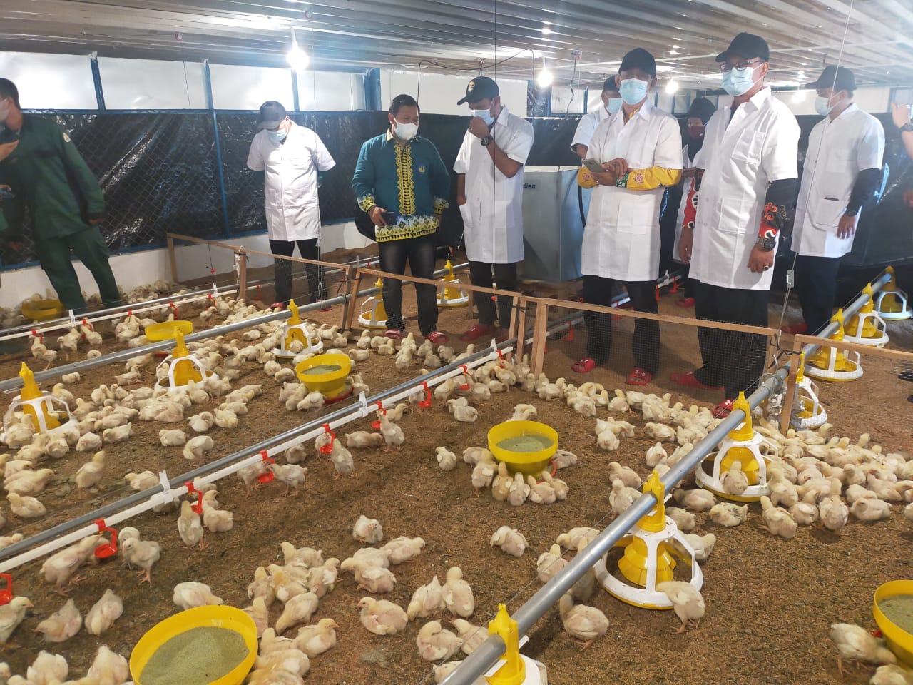 Hibahkan Teaching Farm Closed House, Jadi Sarana Belajar Teknologi Budidaya Broiler Modern