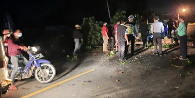 Hujan Deras, Pohon Tumbang di Jalinbar Gadingrejo