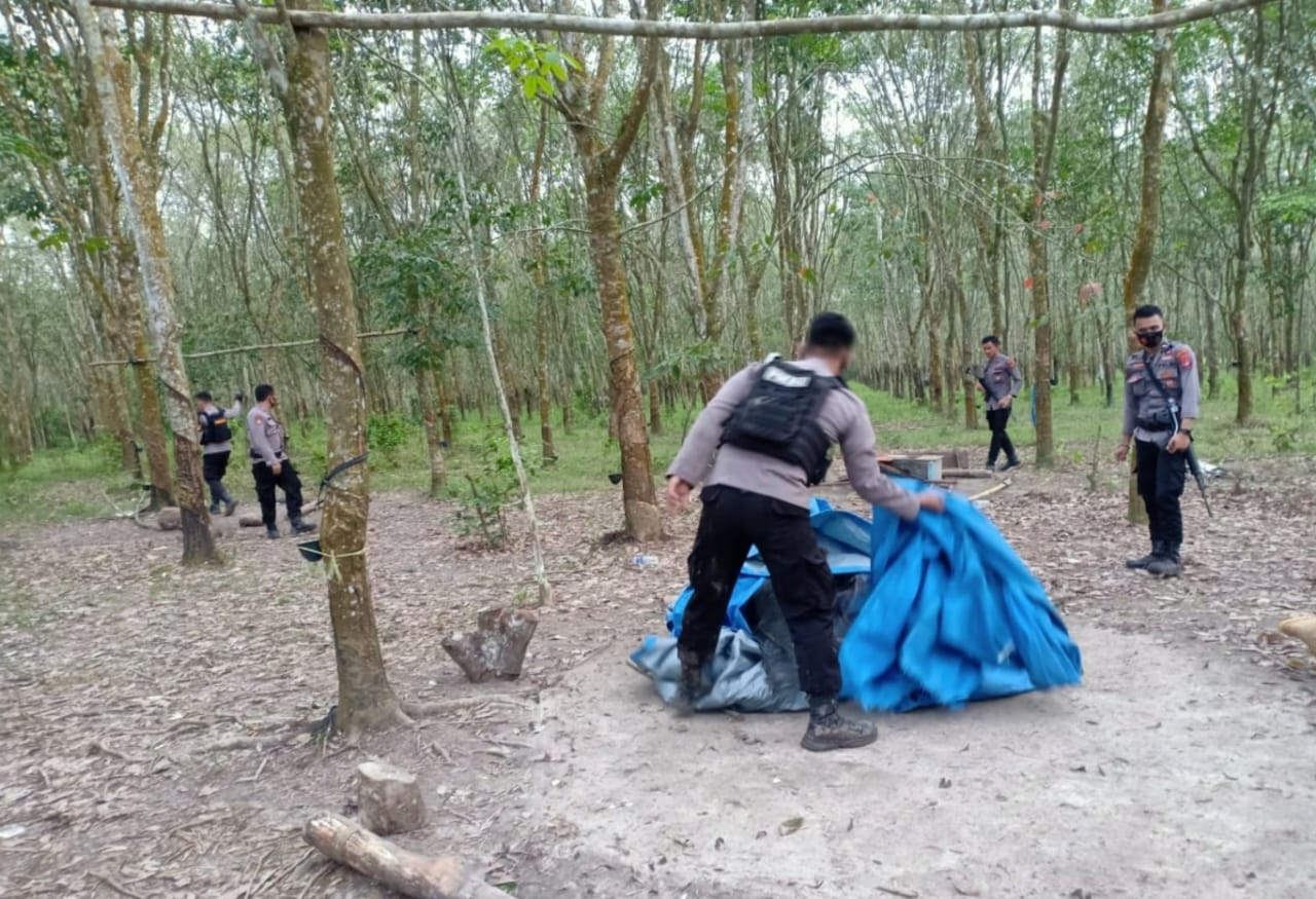 Polres Lamtim Kembali Gerebek Arena Judi Sabung Ayam