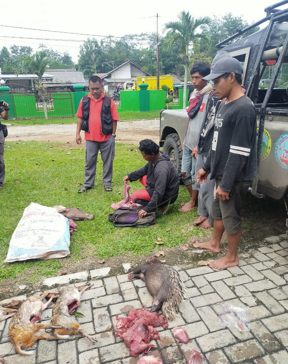Bantai Satwa Liar TNWK, Empat Pemburu Ditangkap