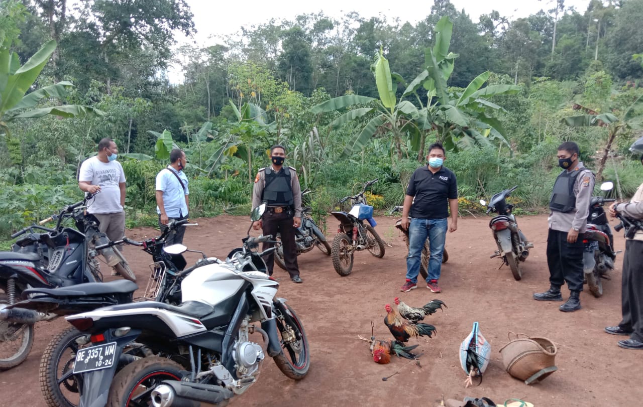Gerebek Arena Sabung Ayam, Lima Motor Diamankan