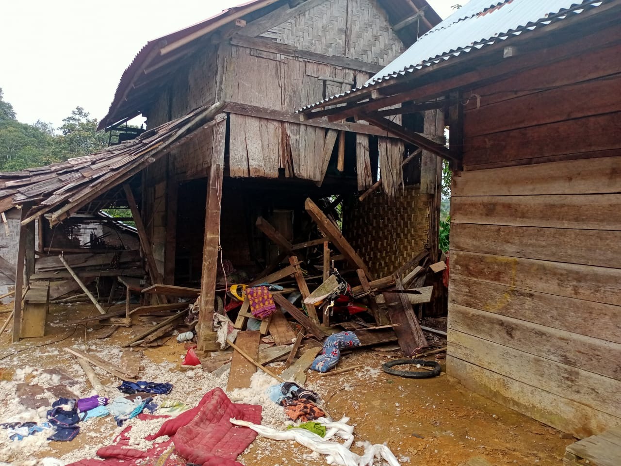 Puluhan Rumah Rusak Diterjang Gajah Liar
