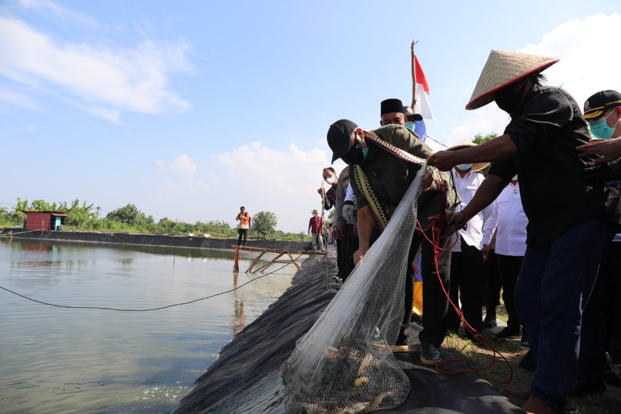 Kunker ke Dipasena, Menkop UKM Dorong Pengembangan Tambak Lewat Koperasi dan Kemitraan