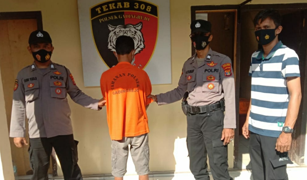 Buron Lima Tahun, Pencuri Sapi Diciduk