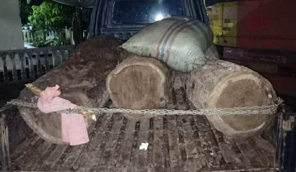 Lagi, Pencuri Kayu di Green Belt Danau Way Jepara Ditangkap